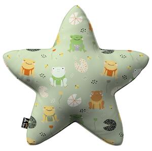 Lucky Star pillow