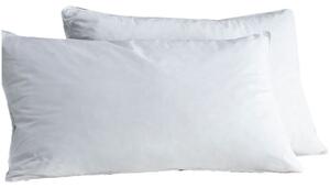 Olena Duck-Feather Pillow, Set of Two