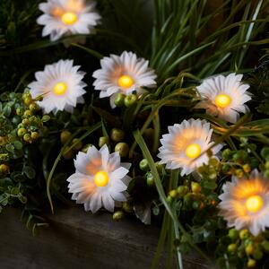 12 Daisy Flower Solar Stake Lights