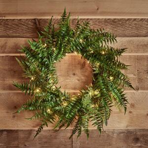 50cm Fern Spring Wreath Micro Light Bundle