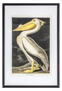 Perry Pelican Framed Wall Art