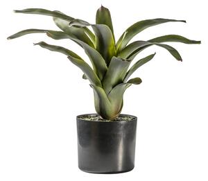 Faux Potted Bromelaid in Green