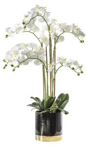 Faux White Orchid in Black Pot