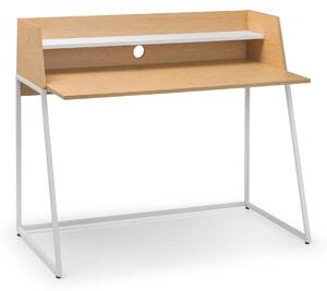 Polymer Desk White/Oak