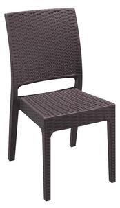 Minty Side Chair - Brown