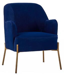 Delphine Velvet Accent Chair | Roseland