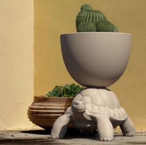 TURTLE CARRY PLANTER AND CHAMPAGNE COOLER - White