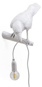 Bird Looking Wall light with plug - / Wall - Perched raven by Seletti White