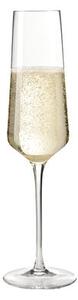 Puccini Champagne glass by Leonardo Transparent