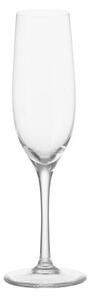 Ciao+ Champagne glass - Champagne glass by Leonardo Transparent