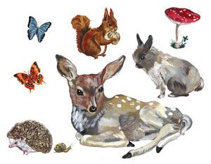 Les animaux 1 Sticker - Set of 8 stickers by Domestic Multicoloured