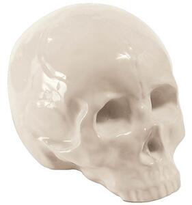 Memorabilia My Skull Decoration - Ceramic by Seletti White