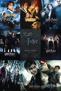 Poster HARRY POTTER - collection, (61 x 91.5 cm)