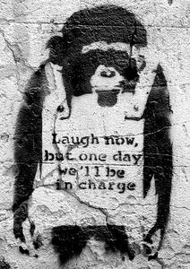Poster Banksy street art - chimp, (42 x 59 cm)