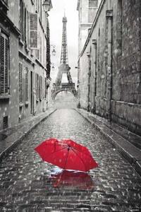 Poster Paris - Eiffel Tower Umbrella, (61 x 91.5 cm)