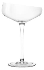 Champagne cup - / 20 cl by Eva Solo Transparent
