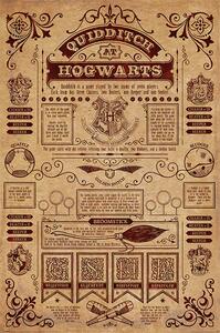 Poster Harry Potter - Quidditch At Hogwarts, (61 x 91.5 cm)
