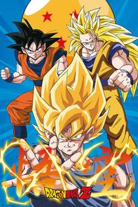 Poster Dragon Ball - Z3 Gokus Evo, (61 x 91.5 cm)