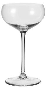 Cheers Champagne cup by Leonardo Transparent