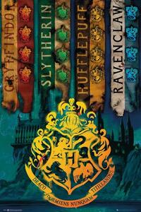 Poster Harry Potter - House Flags, (61 x 91.5 cm)