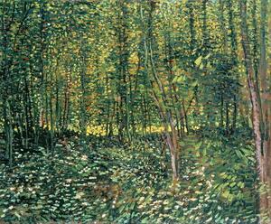 Vincent van Gogh - Fine Art Print Trees and Undergrowth, 1887, (40 x 33 cm)