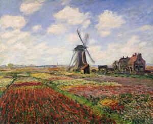 Claude Monet - Fine Art Print Tulip Fields with the Rijnsburg Windmill, 1886, (40 x 30 cm)