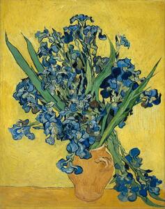 Vincent van Gogh - Fine Art Print Irises, 1890, (30 x 40 cm)