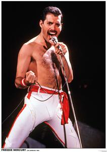 Poster Queen (Freddie Mercury) - Los Angeles 1982, (59.4 x 84 cm)