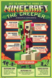 Poster Minecraft - Creepy Behaviour, (61 x 91.5 cm)