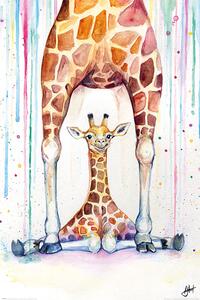 Poster Marc Allante - Gorgeous Giraffes, (61 x 91.5 cm)