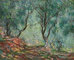 Monet, Claude - Fine Art Print Olive Trees in the Moreno Garden; Bois d'oliviers au jardin Moreno, (40 x 30 cm)