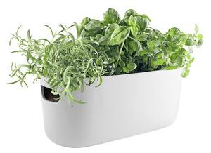 Herb Pot water storage - / Herb tray - Ceramic by Eva Solo White