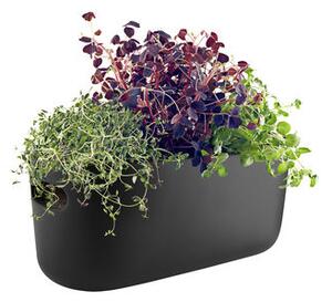 Herb Pot water storage - / Herb tray - Ceramic by Eva Solo Black