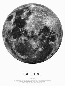 Illustration moon1, Finlay & Noa, (30 x 40 cm)