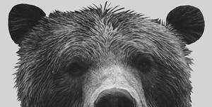 Illustration Grey bear, Finlay & Noa, (30 x 40 cm)