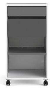 Function White & Black Mobile File Cabinet