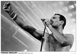 Poster Freddie Mercury - Wembley 1984, (59.4 x 84.1 cm)