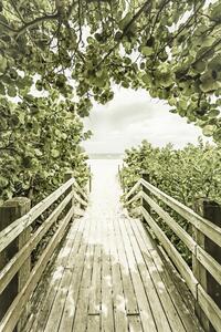 Art Photography Bridge to the beach with mangroves | Vintage, Melanie Viola, (26.7 x 40 cm)