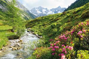 Poster Alps - Nature and Mountains, (91.5 x 61 cm)