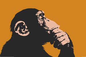 Poster Monkey - Thinking, (91.5 x 61 cm)