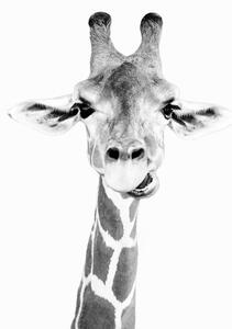 Art Photography Happy giraffe, Sisi & Seb, (30 x 40 cm)