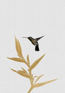 Illustration Hummingbird & Flower II, Orara Studio, (30 x 40 cm)