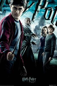 Poster Harry Potter - Half-Blood Prince, (61 x 91.5 cm)