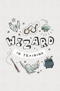 Art Poster Harry Potter - Wizard in training, (26.7 x 40 cm)