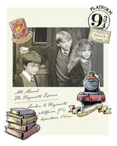 Art Poster Harry Potter - Hermione, Harry and Ron, (26.7 x 40 cm)