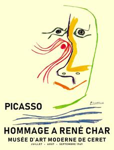 Illustration Picasso 1969, Finlay & Noa, (30 x 40 cm)