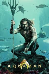 Art Poster Aquaman, (26.7 x 40 cm)