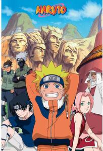 Poster Naruto Shippuden - Group, (61 x 91.5 cm)