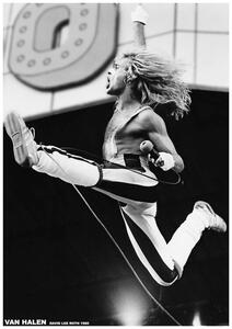 Poster Van Halen - David Lee Roth 1980, (59.4 x 84.1 cm)