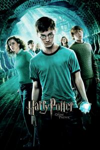 Art Poster Harry Potter - Order of the Phoenix, (26.7 x 40 cm)